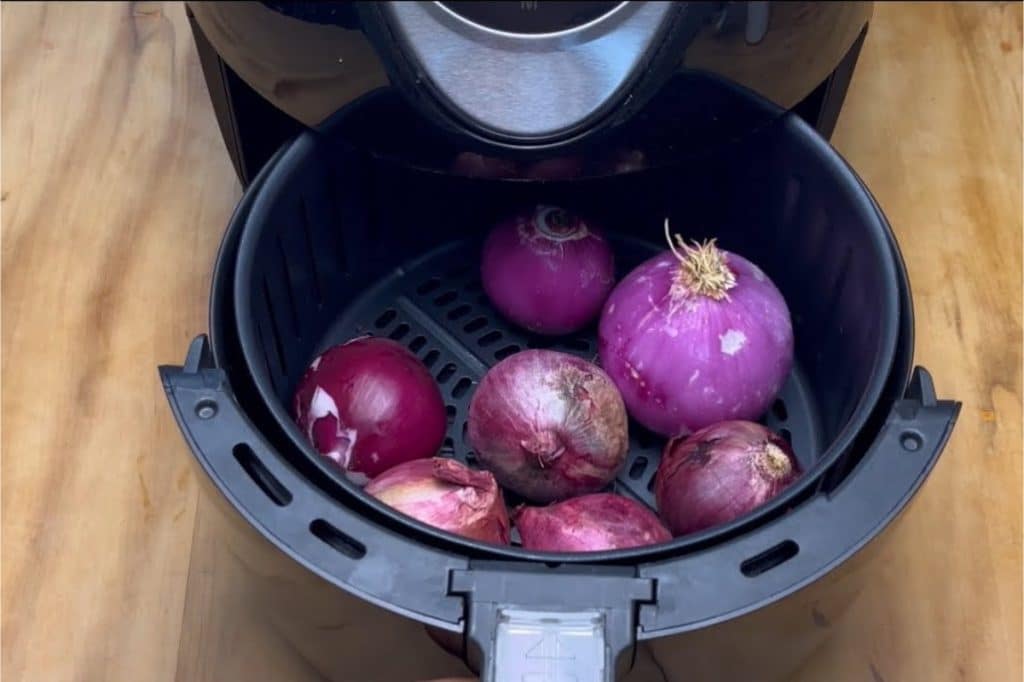 Cebola Desidratada na Air Fryer